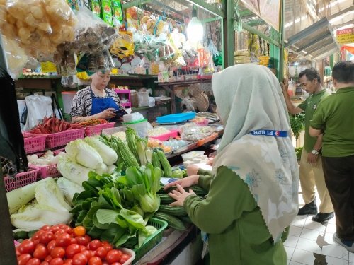 recent-project-img-1